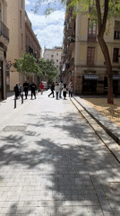 Bicycle captured on tree-shadowed path in Barcelona