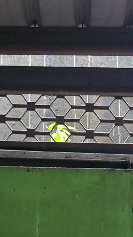 The video shows a close-up view of a green plant with bright green leaves seen through a metal grate. The grate has a honeycomb pattern. In the background, there appears to be a wall or structure with some vertical streaks. The lighting is dim, with some light shining on the plant. The video is very short, lasting only a few seconds.