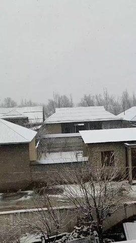 The video shows a snowy day in a residential area. Several single-story buildings with gray metal roofs are visible, all lightly covered in snow. A bare tree in the foreground is dusted with snow. The sky is overcast, and snow falls steadily. A small street is visible in the lower left corner.