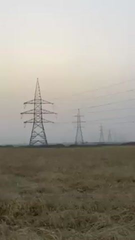 The video opens with a wide shot of a vast field of golden, ripe crops, possibly wheat or barley, under a hazy, overcast sky. Several large electricity pylons, supporting power lines, extend into the distance, gradually disappearing into the atmospheric haze. The camera then briefly blurs skyward before focusing on a man's face. He has a beard and is wearing a patterned shirt with a light-colored shawl draped over his shoulder, looking directly at the camera with a neutral expression. The field is visible behind him. The video concludes with a shot of the golden crops swaying gently in the wind, with the power lines and hazy horizon visible in the background. The scene depicts a rural agricultural area in 'Alaqadari Daman, Afghanistan. No text is visible.