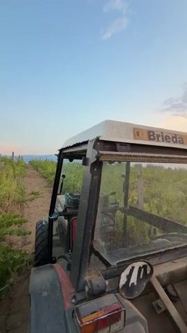 The video pans from the rear of a red and black tractor, showing the "Brieda" logo on its white roof, to reveal a vineyard at sunset. The sky is a gradient of blue to orange, with scattered clouds. The tractor is parked on a dirt path between rows of grapevines, which are green and leafy. The sun is setting in the distance, casting a warm glow over the landscape. The video ends with a final shot of the vineyard bathed in the sunset light.