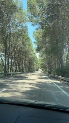The video shows a car driving on an asphalt road lined with tall trees. The trees are mostly green and their branches meet overhead, forming a canopy. The sky is visible through the gaps in the trees and is a bright blue. The road has white lane markings and metal guardrails on both sides. The view is from the inside of the car, through the windshield, and no people are visible.