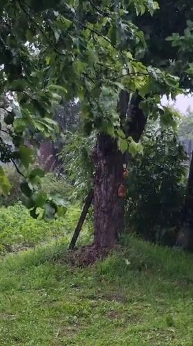 Summer rainstorm hits a residential yard in Vysokoe, Russia