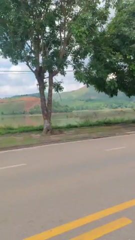 The video shows a view from a moving vehicle, likely a car or bus, driving down a road. The road is paved and has double yellow lines in the center. On the side of the road, there are trees and simple buildings. Some buildings appear to be small shops or houses. The environment looks rural, with some vegetation and possibly a body of water in the background at the beginning of the clip. The sky is cloudy. There are no visible people or prominent activities occurring other than the vehicle moving forward on the road.