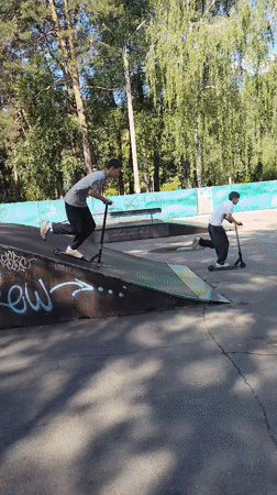 Morning park scenes: Rottweiler resting, youth scootering in Ukraine