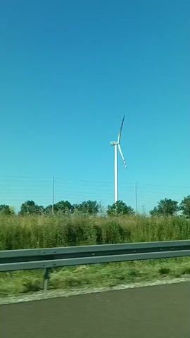 The video shows a white wind turbine in a field of tall grass with trees in the background under a clear blue sky. A metal guardrail is in the foreground, and the view appears to be from a moving vehicle. The wind turbine has three blades, and one of them is slightly bent. The video pans from the wind turbine to a dense forest with tall pine trees.