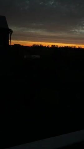 The video shows a silhouette of a house on the left side, with a gutter. The background features a darkened landscape with a line of trees silhouetted against an orange and gray sky at dusk. The sky is cloudy, with the clouds appearing dark gray and speckled.
