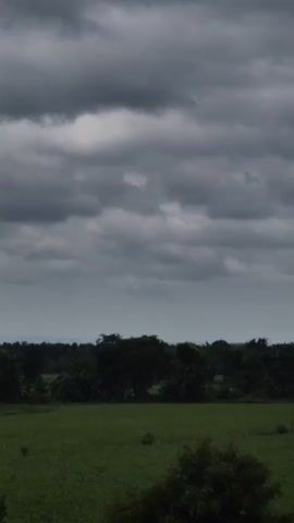 A short video capturing a landscape with overcast skies and dense foliage. The first few seconds show a wide view of dark, heavy clouds blanketing the sky above a line of dark green trees. The middle section zooms in on the top of a dense cluster of trees, their leaves appearing dark and textured against the gray sky. The last few seconds reveal a landscape with scattered trees in a grassy field, again under a cloudy, dark sky. The overall impression is one of a somber, possibly approaching storm.