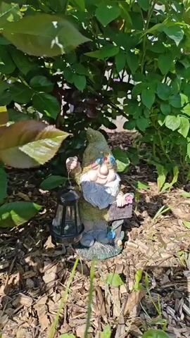 A garden gnome holding a lantern and sign is placed in a garden bed with a bush behind it. The gnome has a green hat, a white beard, and is wearing grey shoes. The lantern is black. The sign says "Welcome to my garden." The bush has green leaves and some leaves that are dark red. The garden bed is covered with brown wood chips. A white fence can be seen in the background under a blue sky.