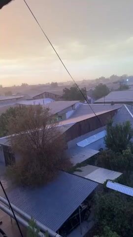 The video shows an aerial view of a residential area during what appears to be a rain shower. The sky is overcast with a warm, hazy glow. Multiple rooftops, made of various materials including metal and tile, are visible across the frame. A tree with sparse, brownish foliage stands prominently in the foreground, situated on top of a covered structure. A dark-colored car is parked beneath this structure. A thin wire, possibly a power line, stretches diagonally across the upper portion of the video. The rain is visible as streaks falling from the sky, particularly noticeable on the rooftops and the foliage of the tree. The overall impression is one of a quiet, somewhat muted environment experiencing a rain event.