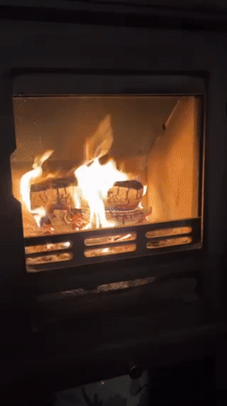 Cozy indoor evening documented in Deal with fireplace, selfie