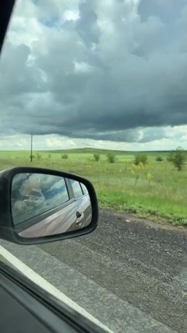The video shows a view from inside a vehicle, looking out the passenger side window and into the side mirror. The side mirror reflects the interior of the car, including a person holding a phone, and the exterior landscape. The exterior landscape consists of a dirt road, a green grassy field with scattered yellow flowers and small trees, and a hill in the distance under a cloudy sky. There are power poles visible in the field, and a blue sign on a pole is briefly visible on the right side of the frame. The overall impression is of a journey through a rural area on a cloudy day.