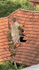 Crumbling roof and chimney overtaken by vegetation