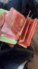 Euro banknotes displayed and fanned out indoors