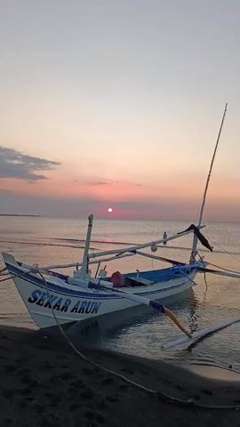 This is a vertical, medium shot video of a fishing boat named "SEKAR ARUM" resting on a beach at sunrise. The boat is white with blue lettering. It is a traditional Indonesian outrigger boat with bamboo stabilizers. The boat is partially submerged in the calm, shallow water. The sky is a soft blend of pink, orange, and purple hues, with the sun visible as a small, pink orb on the horizon. The water reflects the colors of the sky. The beach appears to be dark sand, with some debris visible along the waterline. A rope is tied from the boat to the shore. There are no people visible in the frame. The overall mood is peaceful and serene, capturing the quiet beauty of an early morning at the coast. The time of day is clearly sunrise. The location is a beach, likely in a coastal area given the presence of a fishing boat.