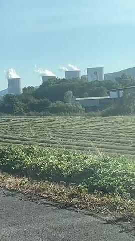 The video shows a landscape with a power plant in the background and a field in the foreground. The power plant has four large cooling towers, three of which are emitting plumes of steam. The field in the foreground appears to be a harvested crop, with rows of cut grass or hay visible. There are trees and other vegetation between the field and the power plant. The sky is blue and clear, suggesting a sunny day. The video is shot from a moving vehicle, likely a car, as indicated by the slight camera shake and the view of the road in the foreground.