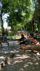 Morning group fitness sessions documented across Ko Samui locations