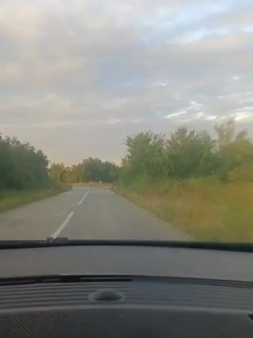 The video shows a view from inside a car driving on a paved road. The road is bordered by trees and vegetation. The sky is cloudy. The car is moving forward, and the scenery is passing by. There are traffic signs visible, including a red and white curved arrow indicating a sharp turn. The road appears to be in a rural area.