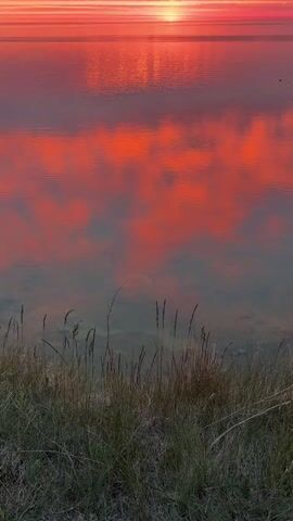 This video shows a sunset over a body of water. The sky is filled with vibrant red and orange hues, reflected in the calm water below. Clouds are scattered across the horizon, some tinged with the same fiery colors. In the foreground, a patch of dry grass and reeds stands against the backdrop of the sunset. The camera is held vertically, focusing on the expansive view of the sky and water. There are no people or animals visible in the video. The scene is tranquil and visually striking.