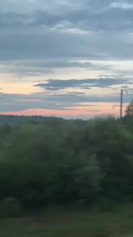 A blurry, medium shot captures a fleeting glimpse of a landscape at dusk, viewed from a moving vehicle. The sky is a canvas of muted blues and grays, with streaks of soft pink and orange indicating the setting sun near the horizon. A dense, dark green forest stretches across the middle ground, its foliage blurred by the motion. The foreground shows a hint of green grass and a gray railing, also indistinct. The scene is dynamic and impressionistic, conveying a sense of movement and ephemeral beauty.