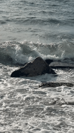 Cat naps in sunlit spot in Bar, Montenegro