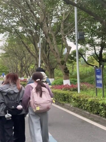 Students gather, walk, and dine in Chongqing High-tech Zone