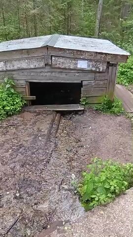 The video shows a small, weathered wooden structure in a forest setting. The structure has a metal roof that appears to be corrugated. There is an opening in the front of the structure, revealing a dark interior. Outside the opening, there is a muddy area with some wooden planks and what appear to be metal tracks leading away from the opening. The ground is damp and covered in dirt and small stones. Lush green vegetation, including bushes and trees, surrounds the structure. The overall impression is one of an old, possibly abandoned structure in a natural environment.