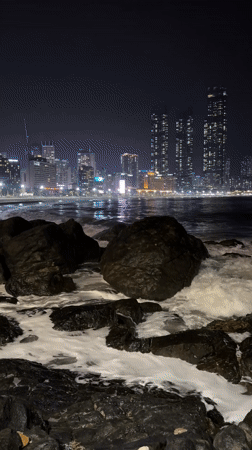 Nighttime beach visitor observes illuminated cityscape in South Korea