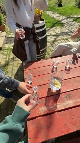 Four people are standing around a red picnic table outdoors. They each hold a small glass of clear liquid, and they clink their glasses together in a toast. On the table, there is a pitcher of water with a lemon slice in it, and other small glasses of clear liquid. One of the people is wearing a white shirt and blue jeans, and has a brown sweater tied around her waist. She is smiling. Another person is wearing a green sweatshirt. A third person is wearing a plaid shirt. There is a wooden barrel behind the table. The area around the table is a grassy lawn with some paving stones. There are trees in the background.