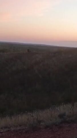 The video shows a rural landscape at sunset. A windmill is silhouetted against the colorful sky. The ground is covered in dry grass and wildflowers. In the distance, a person is riding a motorcycle. The video is a short clip, lasting only a few seconds.