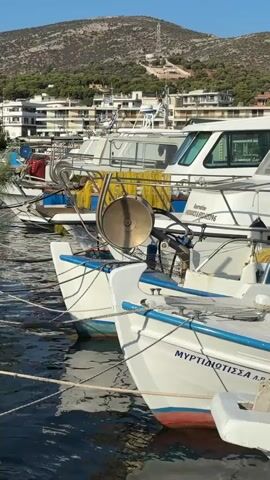 This is a close-up, side-view shot of several white fishing boats docked in a harbor. The boats are in the foreground and are tied together with ropes. They are white with blue trim and some have names written on them, such as "MYPTIDIOTISSA". Yellow fishing nets are visible on one of the boats. In the background, there are more boats, a shoreline with buildings, and a hill covered in trees and some construction. The sky is clear and blue, suggesting a sunny day. The water is calm and dark.