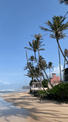 Tourist captures everyday Sri Lankan coastal scenes during morning walk