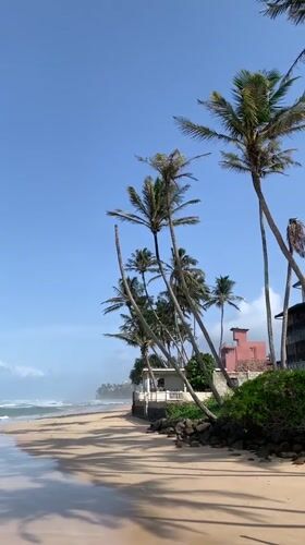 Tourist captures everyday Sri Lankan coastal scenes during morning walk
