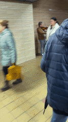 Street musician plays violin in Sofia pedestrian walkway