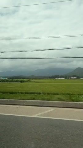 This is a vertical, POV shot taken from a moving vehicle. The view looks out over a rural landscape on a cloudy day. In the foreground, a gray asphalt road with white painted lines is visible. Beyond the road, there is a concrete curb and a patch of green grass. Further into the distance, there are vast fields of green crops, likely rice paddies, stretching towards rolling hills and mountains in the background. A few buildings and structures are scattered throughout the landscape. Several utility poles and wires are present in the sky, stretching across the frame. The overall mood is serene and tranquil.