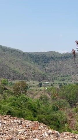 The video shows a landscape with mountains, trees, and a body of water in the distance under a partly cloudy sky. The vegetation includes lush green areas and dry, brown sections. The foreground consists of rocks and dried vegetation. There is audio of a person speaking. The camera pans slightly, offering a wide view of the scenery.