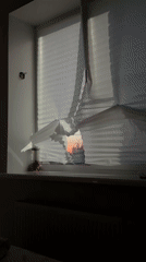 Evening domestic life documented in Chaikovsky, Russia