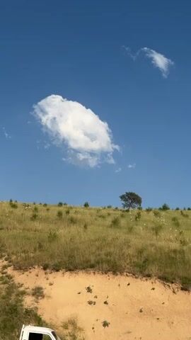 This media file captures a serene, natural landscape under a bright blue sky dotted with fluffy white clouds. The scene is a grassy hillside, likely a natural park or undeveloped area, as indicated by the untamed vegetation and the presence of a lone, windswept tree on the horizon. The ground slopes upwards from a sandy patch in the foreground, revealing the texture of dry earth interspersed with dry grasses and small white wildflowers.

The time of day appears to be midday or early afternoon, given the strong sunlight casting distinct shadows and illuminating the clouds. The weather is clear and sunny, suggesting a warm, dry day. The location, Yangikurgan, Uzbekistan, implies a continental climate, which aligns with the dry, grassy terrain and sparse vegetation.

There are no people or man-made objects prominently featured in the scene, emphasizing the natural beauty and tranquility of the setting. The activity taking place is simply the passage of time, marked by the slow drift of clouds across the vast sky. The overall emotion conveyed is one of peace, solitude, and the simple elegance of nature. The visual elements evoke a sense of open space and a connection to the earth. No visible text is present in the media file.
