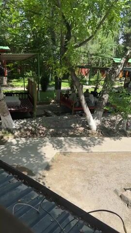 The video shows a park-like setting with several raised seating areas or gazebos under the shade of trees. The trunks of the trees near the seating areas are painted white. People are sitting and socializing in at least two of the gazebos. In the foreground, there's a small pond or water feature with a decorative metal railing. The water is slightly murky. A partially visible roof edge with a black wire is at the very bottom left of the shot, suggesting the view is from an elevated position. The overall atmosphere is relaxed and scenic.