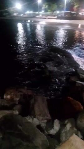 The video shows a nighttime scene at a beach with the water gently lapping against the rocky shore. There are lights illuminating the beach and reflecting off the water's surface. In the distance, there are colorful lights illuminating an unknown structure. The camera is static and focused on the shoreline, offering a wide view of the scene.