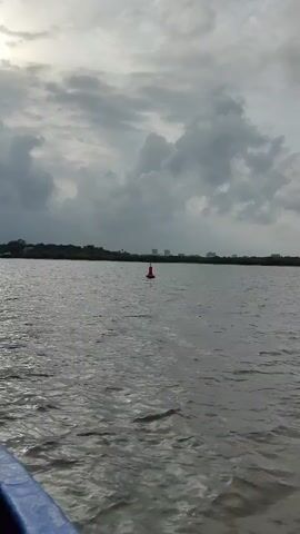 The video shows a red buoy in the water. In the background, there is a shoreline with trees and buildings. The sky is cloudy. The video appears to be taken from a boat, as the edge of a blue object is visible in the foreground.