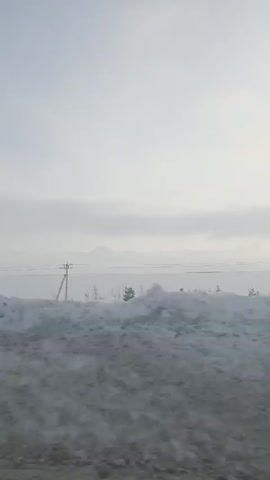 The video shows a wintery scene with a snow-covered ground, utility pole, and a line of evergreen trees in the background. The sky is overcast and grey. The camera appears to be moving, suggesting the scene is being viewed from a vehicle. The focus is on the snowy landscape.