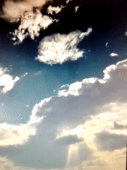Mixed visual memories capture art, landmarks, nature, and daily life