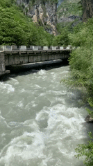 Turbulent river flows through forested gorge in Abkhazia