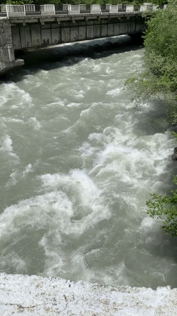 Turbulent river flows through forested gorge in Abkhazia