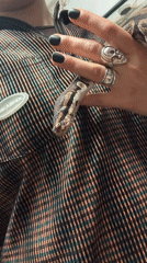 Person photographed holding Ball Python in striped jacket