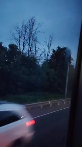 A dash cam video captures a view from a vehicle moving along a road at dusk. The sky is a deep blue, indicating twilight. The road has a white line marking its edge. To the left of the road is a guardrail. Beyond the guardrail, there is a line of trees, some of which are bare and appear dead. A utility pole stands among the trees. In the distance, a signpost is visible. A large red truck passes by in the opposite direction, its lights blurred due to the motion.