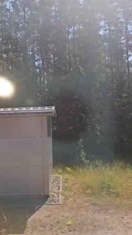 A train track runs horizontally across the frame, with the train moving forward. On the left side of the tracks, there is a patch of green grass and some bushes. Beyond the bushes, there is a dense forest of tall, thin trees. The sun is shining brightly on the left side of the frame, creating a lens flare effect. The sky is visible above the trees and appears to be a clear blue. The train tracks are made of wood and metal, and they are parallel to each other. The scene appears to be in a rural or natural setting.