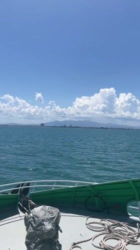 Boat passenger films calm waters, distant cityscape near Vietnam coast