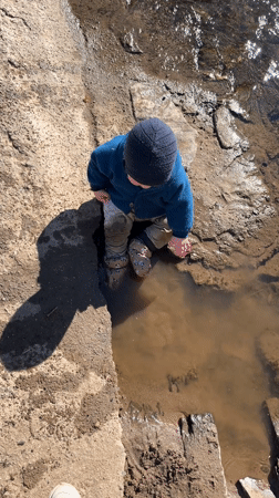 Morning picnics observed in Meisenheim, Germany